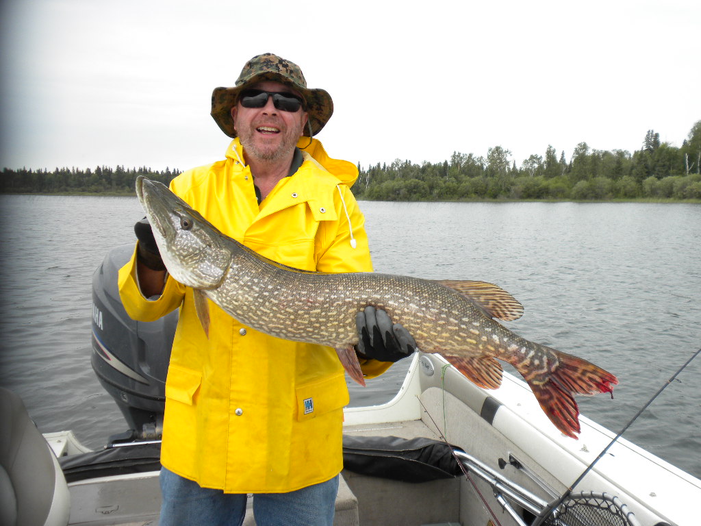 Cormorant Lake The Pas Manitoba Canadian Pike Walleye Fishing